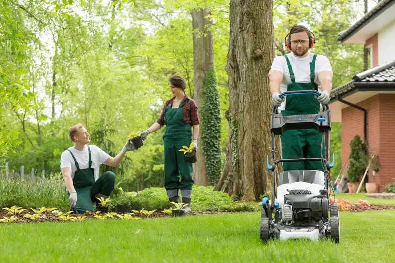 Can You Mow Wet Grass Tyler, TX