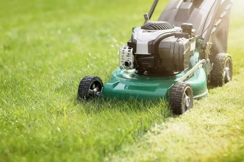 Can You Mow Wet Grass in Tyler, TX