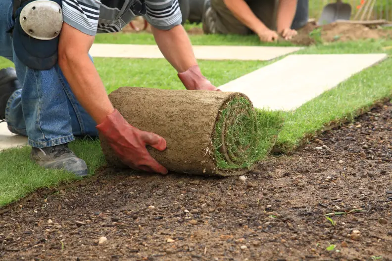 How Long After Installing Sod Can You Walk On It Tyler, TX