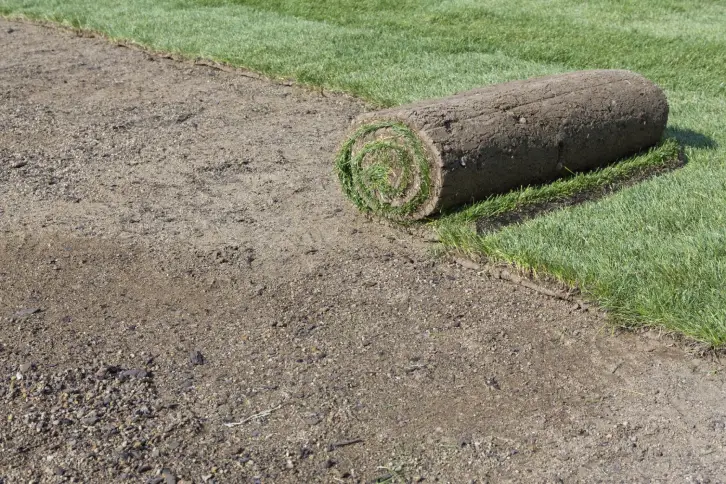 How Long After Installing Sod Can You Walk On It in Tyler, TX