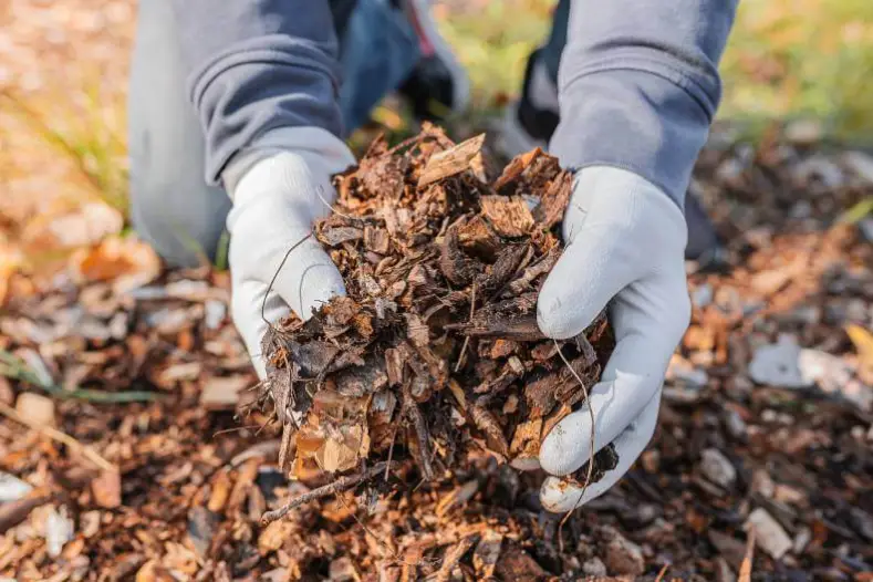 How Long Does Mulch Last Tyler, TX