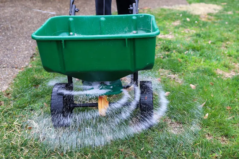 How Often Should You Fertilize Your Lawn in Tyler, TX