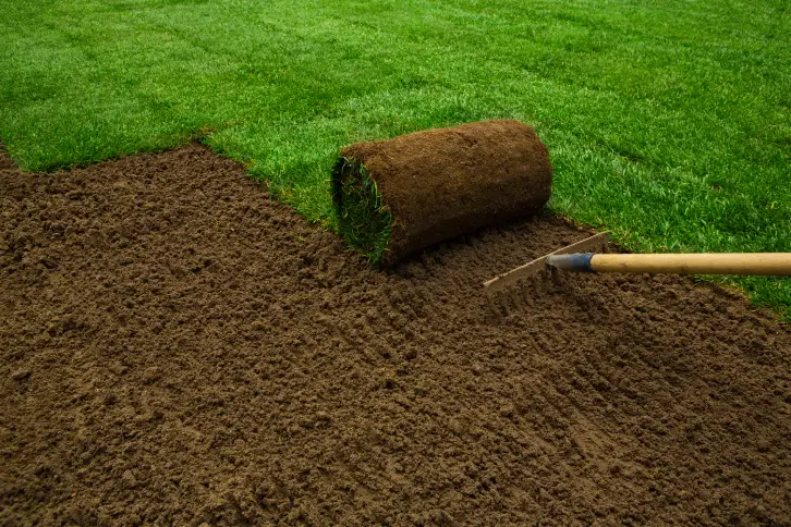 How to Lay Sod Over Existing Lawn Tyler, TX