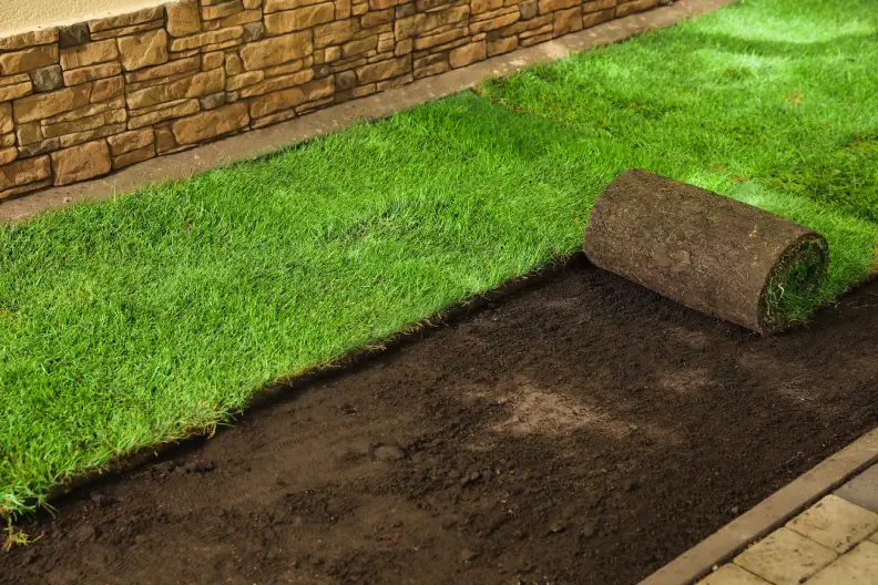 How to Lay Sod Over Existing Lawn in Tyler, TX