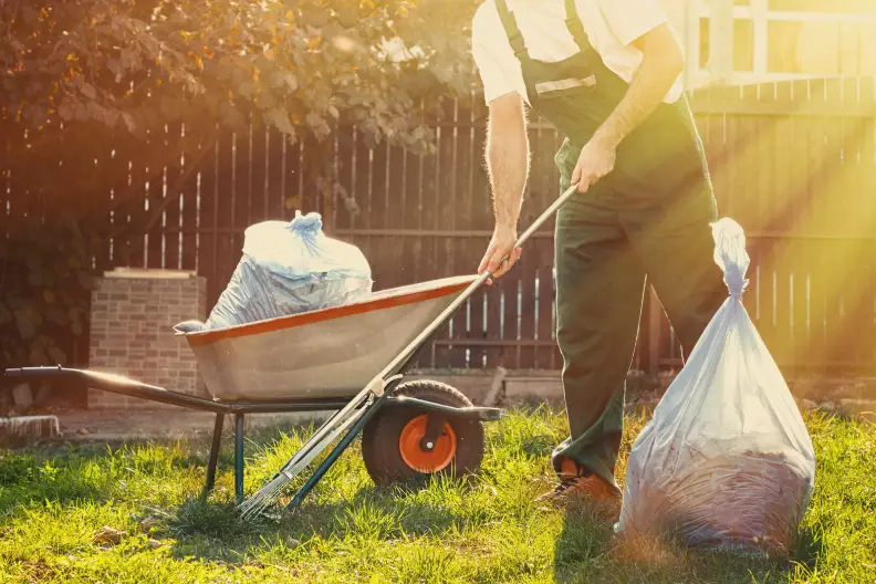 How to Clear a Yard Full of Weeds Tyler, TX