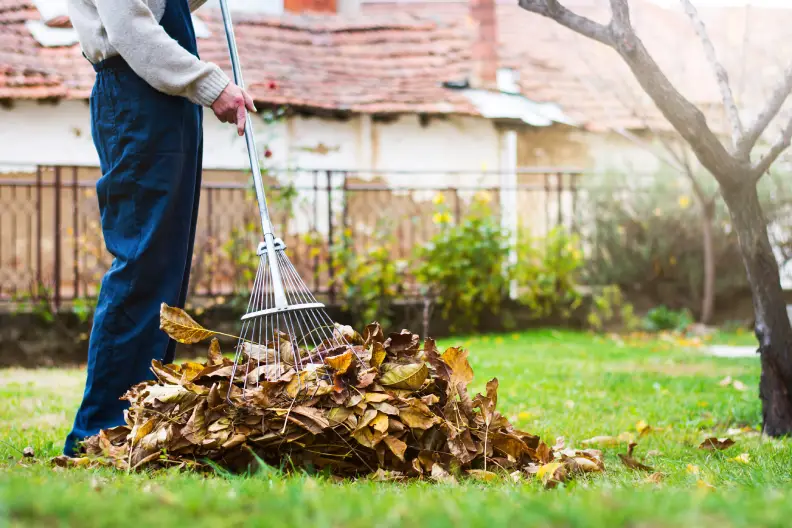 How to Clear a Yard Full of Weeds in Tyler, TX