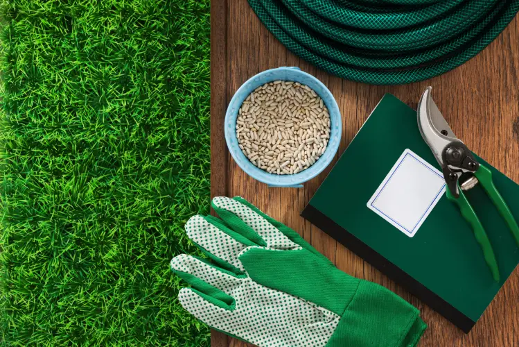 Lawn Fertilization in Tyler, TX - Landscaper