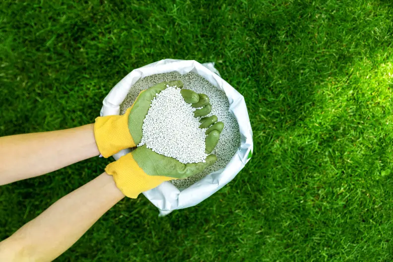 Lawn Fertilization in Tyler, TX