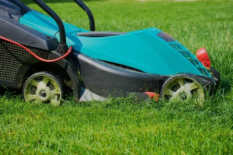 Lawn Mowing in Tyler, TX