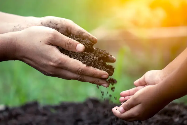 Mulching in Tyler, TX