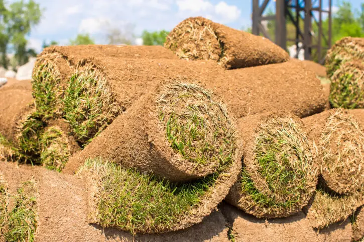 Sod Installation in Tyler, TX - Landscaper