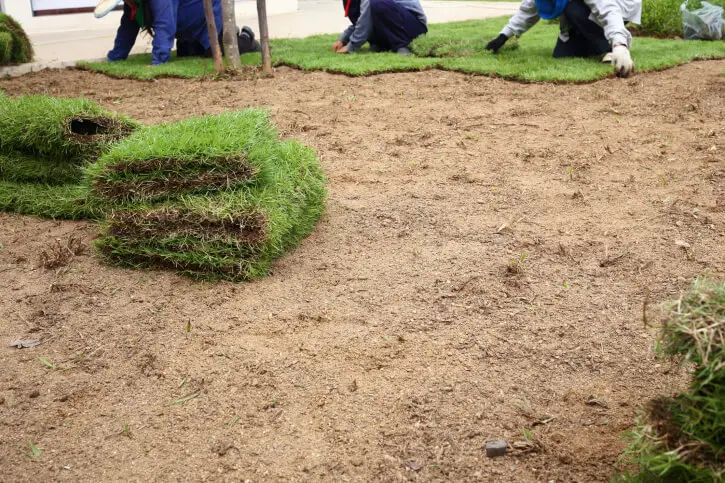 Sod Installation in Tyler, TX