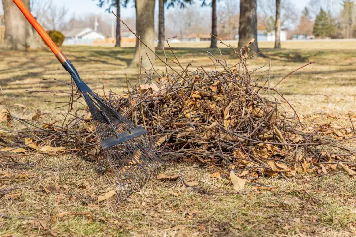 Yard Cleanup Tyler, TX